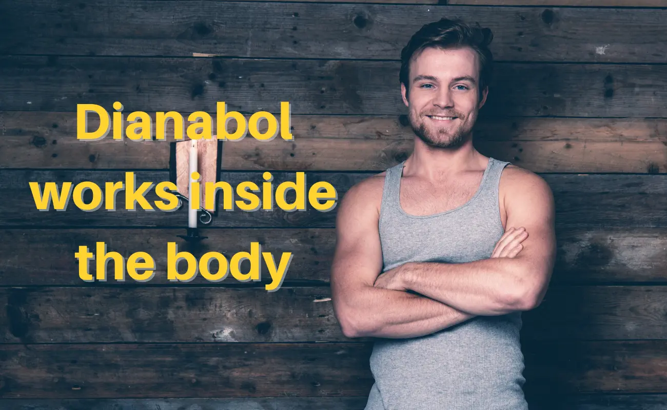 How Dianabol works inside the body?